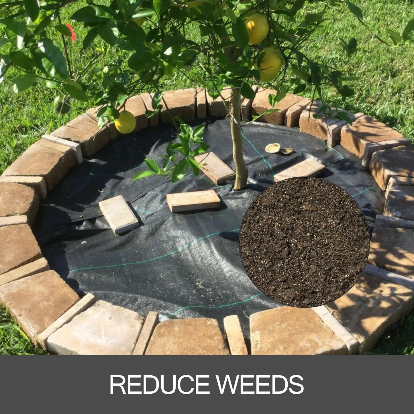 SucceBuy Heavy Duty Landscape Fabric Weed Barrier Geotextile