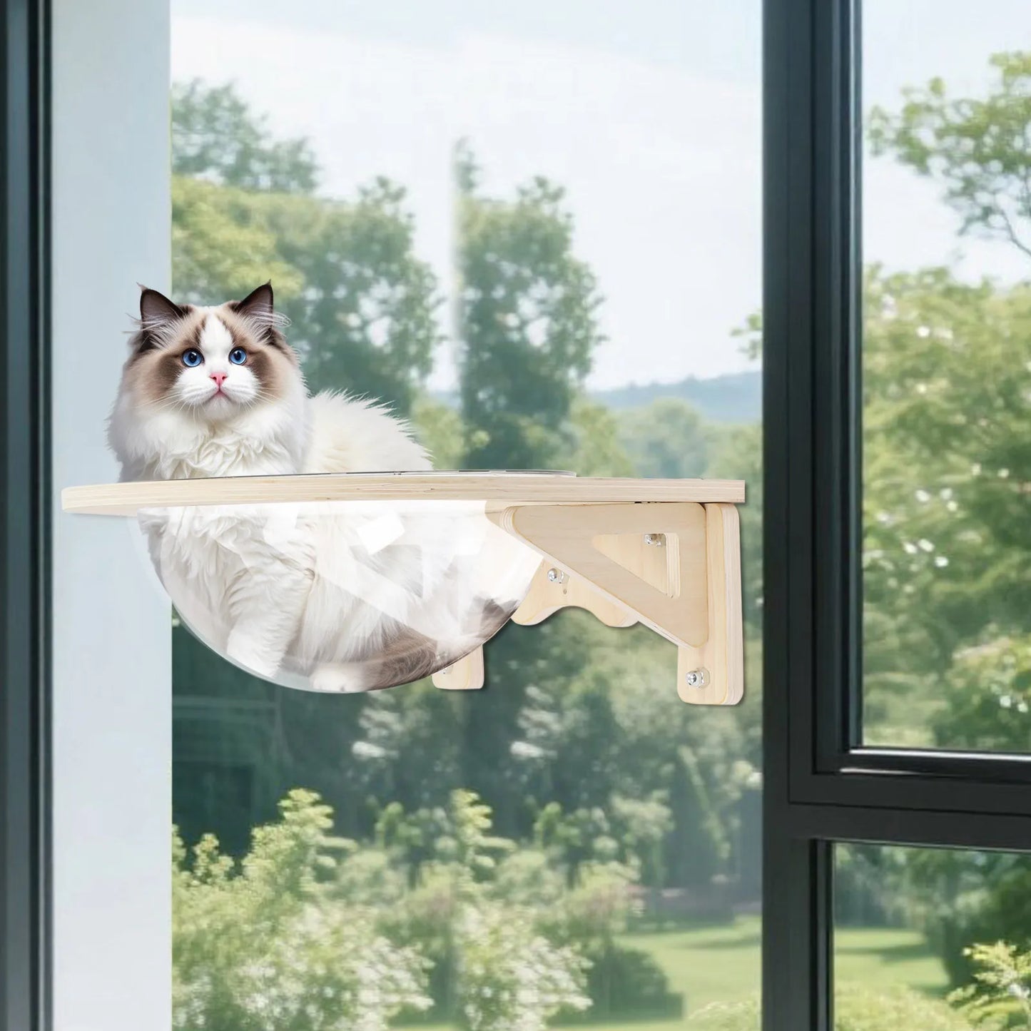 Wall Mounted Cat Bubble Bed