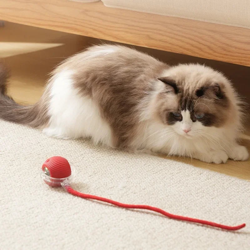 Rechargeable Interactive Cat Ball Toy