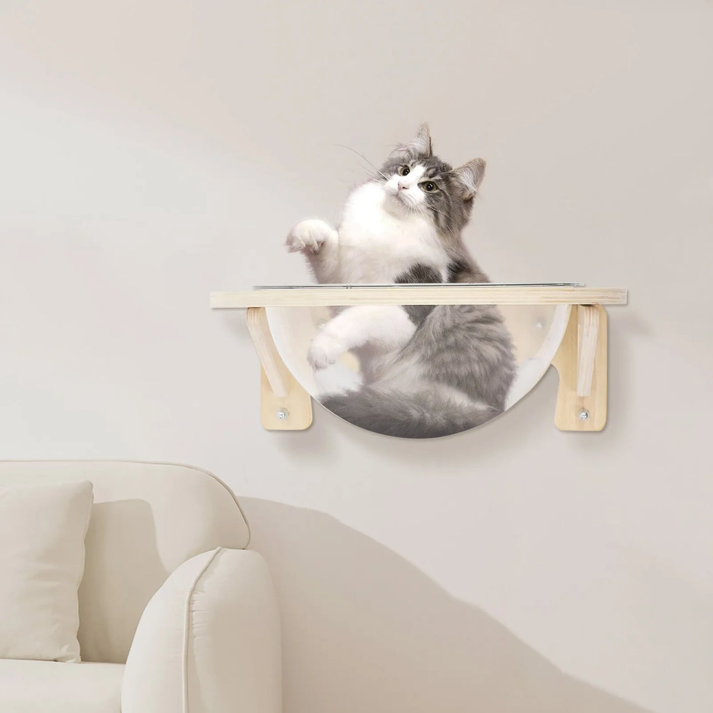Wall Mounted Cat Bubble Bed