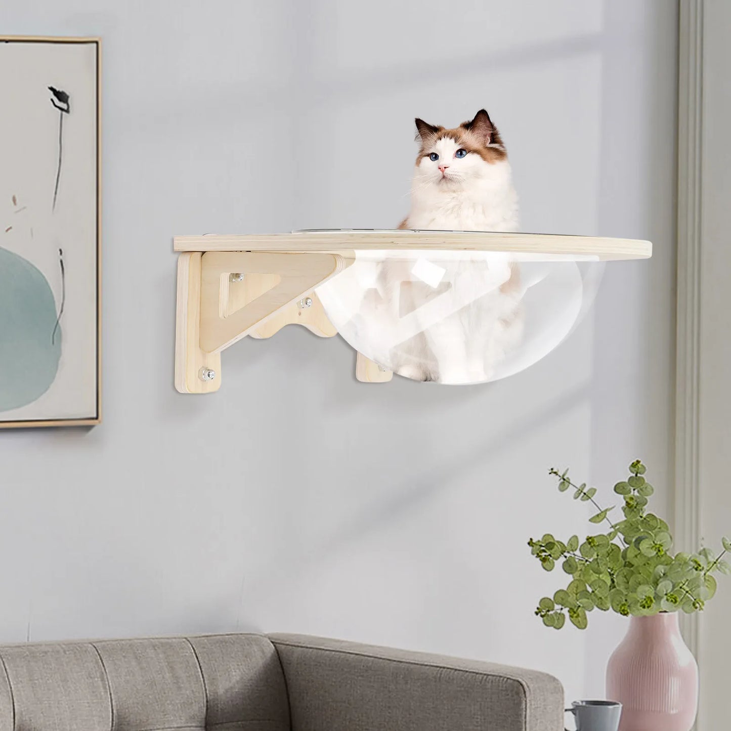 Wall Mounted Cat Bubble Bed