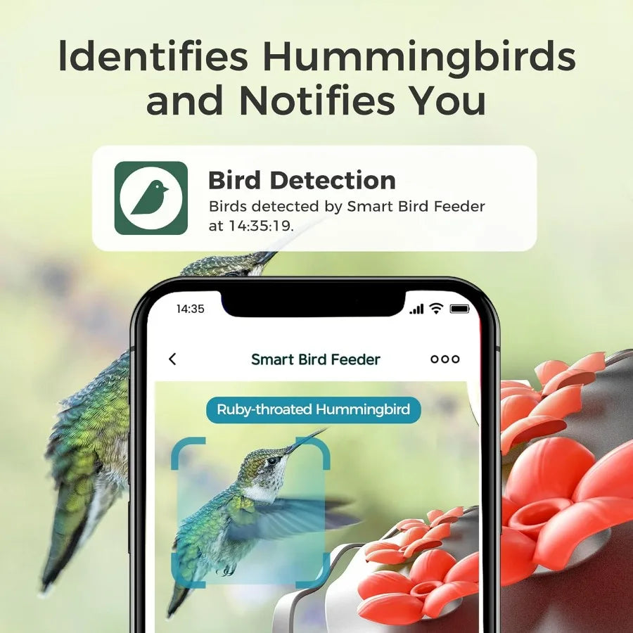 Glass Smart Hummingbird Feeder With Camera AI Identify And Water Detection
