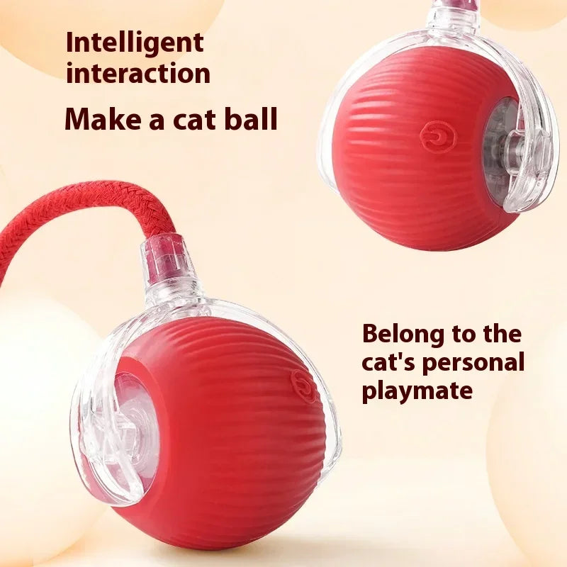 Rechargeable Interactive Cat Ball Toy