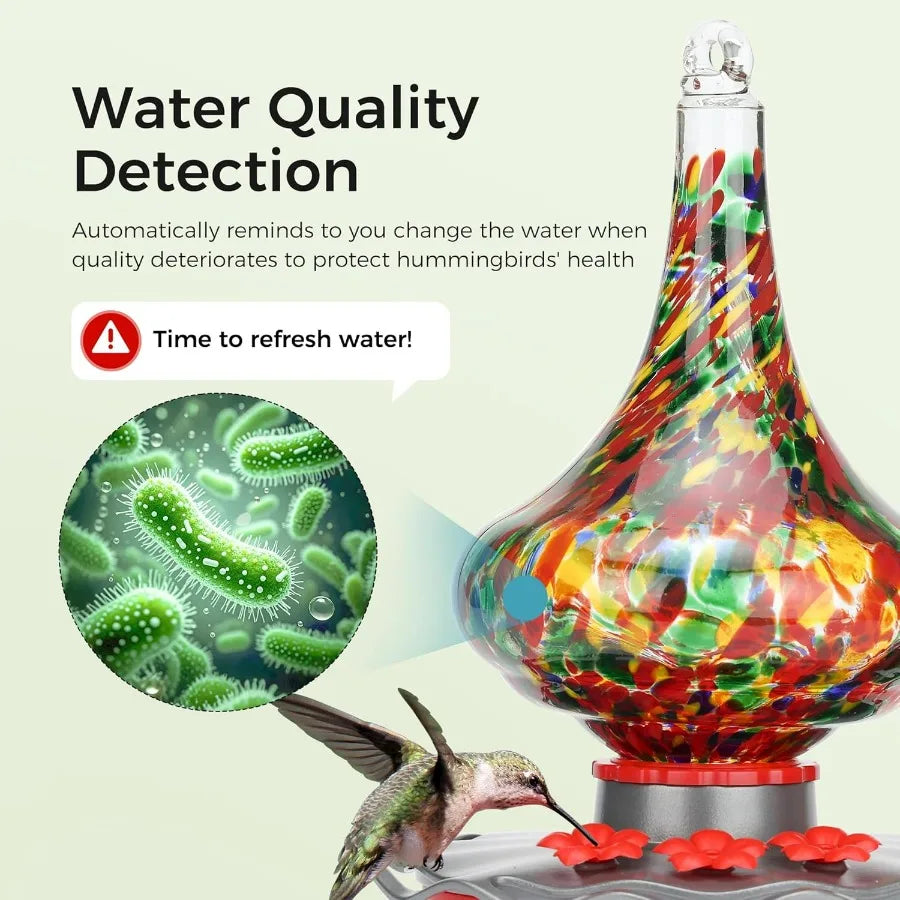 Glass Smart Hummingbird Feeder With Camera AI Identify And Water Detection