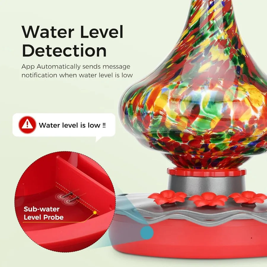 Glass Smart Hummingbird Feeder With Camera AI Identify And Water Detection