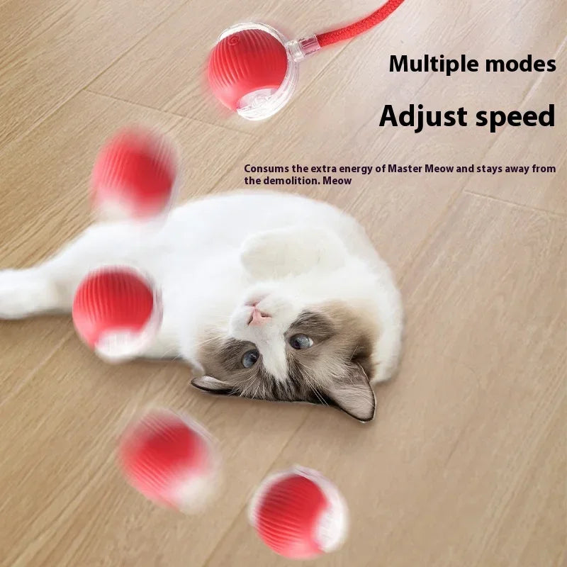 Rechargeable Interactive Cat Ball Toy