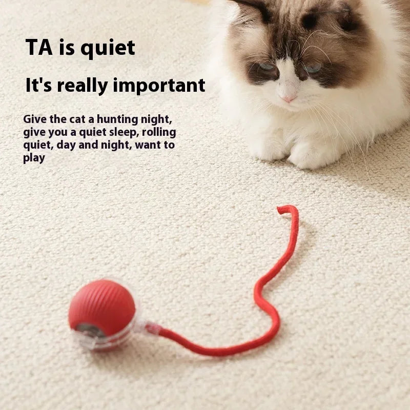 Rechargeable Interactive Cat Ball Toy